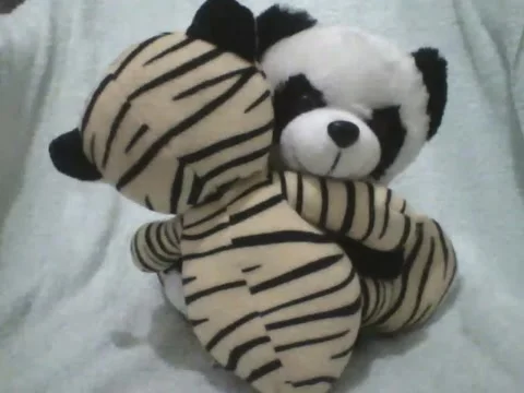 All you need is a hug, stuffed panda hugs the tiger with love Stock Footage 162146559