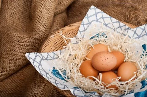 All Your Eggs in One Basket Stock Photos