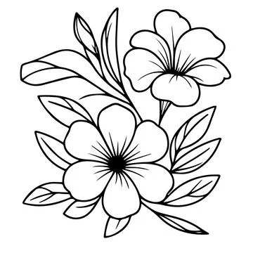 Allamanda cathartica vector art, elements summer collection Stock Illustration