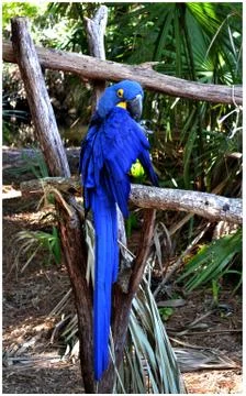 AllBlue Stock Photos