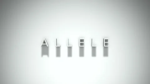 Allele 3D title animation with shadows on a white background Stock Footage 297097338