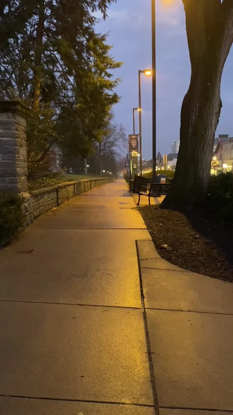 Allen St Gate To Sidewalk State College Stock Footage 244786580