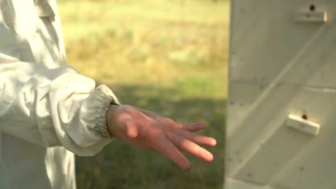Allergic reaction to bee sting. A young man Stock Footage 212447914