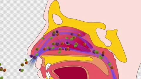 Allergic rhinitis HD alpha channel Stock Footage 136966532
