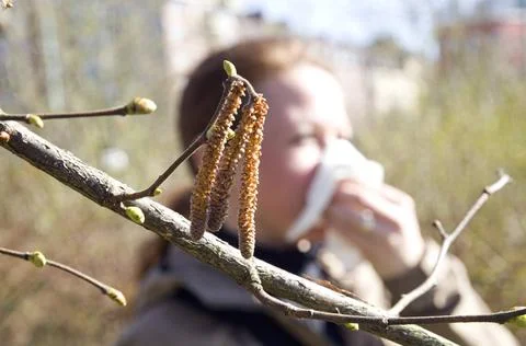  Allergie Eine Frau leidet unter Pollenflug. A woman suffer from tree poll... Stock Photos
