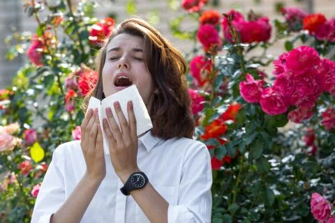 Allergy to flowering Stock Photos