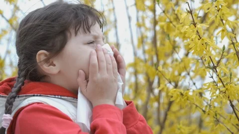 Allergy. Stock Footage 107562539