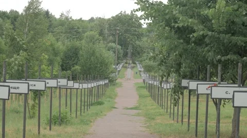 Alley of memory of the Chernobyl zone Stock Footage 194481990