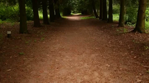 Alley in the park Stock Footage 11076830