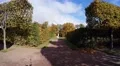 Alley. Pushkin. Catherine Park. Tsarskoye Selo. 4K. 4k or 4k+ Resolution
