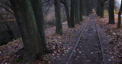 Alley of trees  스톡 동영상 220958129