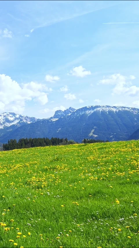 Allgäu views Stock Footage 309216386