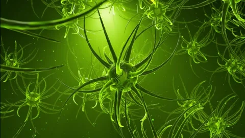 Allien Neurons Stock-Footage 348509748