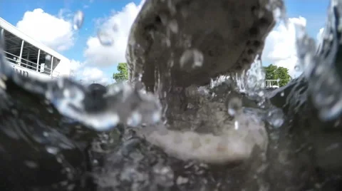 Alligator Attacks Camera in Slow Motion Stock-Footage 64904040