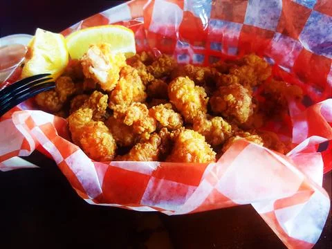 Alligator bites Stock Photos