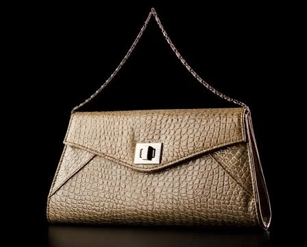 Alligator clutch with reflection isolate black background Stock Photos
