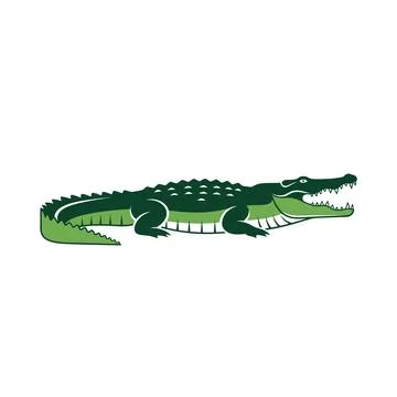 Alligator crocodile illustration icon vector art with white background Stock Illustration