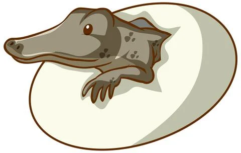 Alligator hatching from an egg on white background Stock Illustration