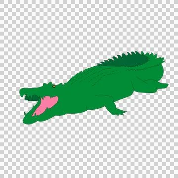 Alligator Stock Illustration