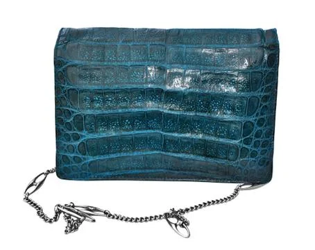 Alligator leather bag Foto stock