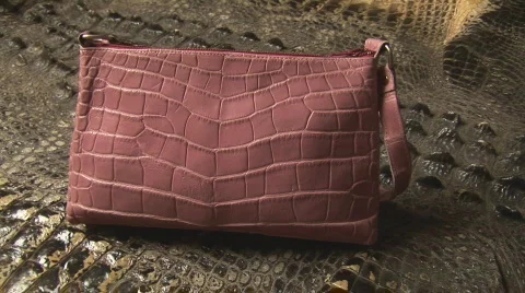 Alligator Purse Custom Stock Footage 862854