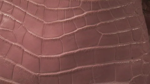 Alligator Purse Custom Stock Footage 862939