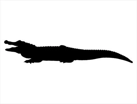 Alligator silhouette vector art Stock Illustration