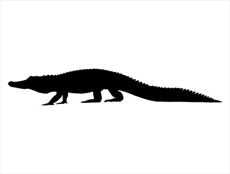 Alligator silhouette vector art Stock Illustration