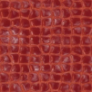 Alligator skin Stock Illustration