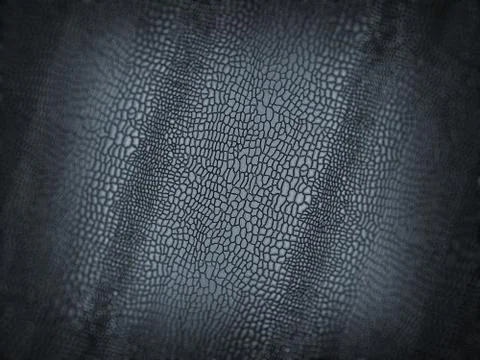 Alligator skin texture or background with shallow dof Stock Illustration