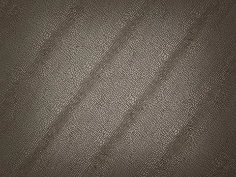 Alligator skin texture or background Illustrazione stock