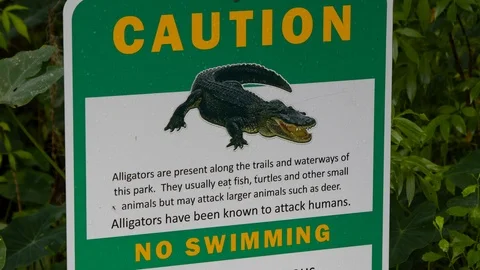 Alligator warning sign. 4K Stock Footage 112447336