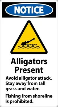Alligator Warning Sign, Danger - Alligators Present, Avoid Alligator Attack.. Stock Illustration