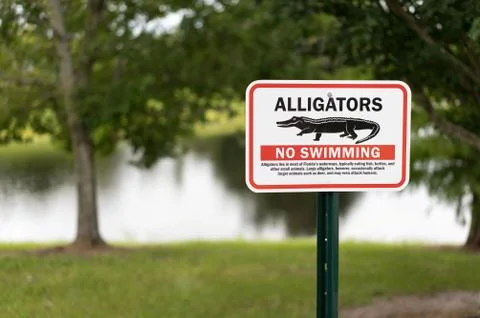 Alligator warning sign in Florida for awareness of imminent danger. Sharp foc Stock Photos