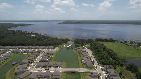 AlligatorLake Stock Footage 339798973