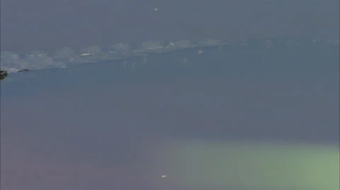 Alligators Stock Footage 32421879