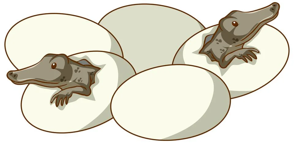 Alligators hatching from eggs Stock Illustration