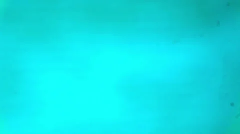 Alliuma epidermis under the microscope (Allium Seale Epidermis W.M.), Full HD Stock Footage 47087728