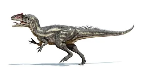 Allosaurus dinosaur, artwork Stock Illustration