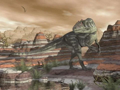 Allosaurus dinosaur in the desert - 3D render Stock Illustration