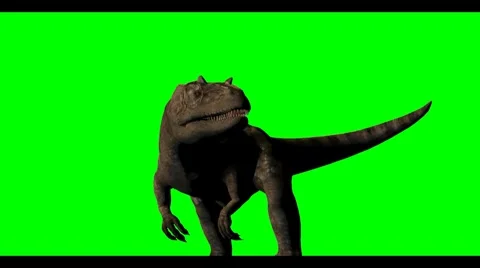 Allosaurus on green screen background | Stock Video | Pond5