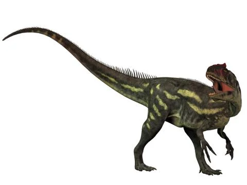 Allosaurus isolated Stock Illustration