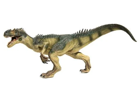 Allosaurus isolated on white background Stock Photos