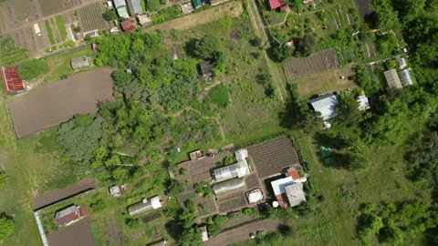 Allotment gardens evolve over time, showcasing the dedication of gardeners in Stock Footage 316186718