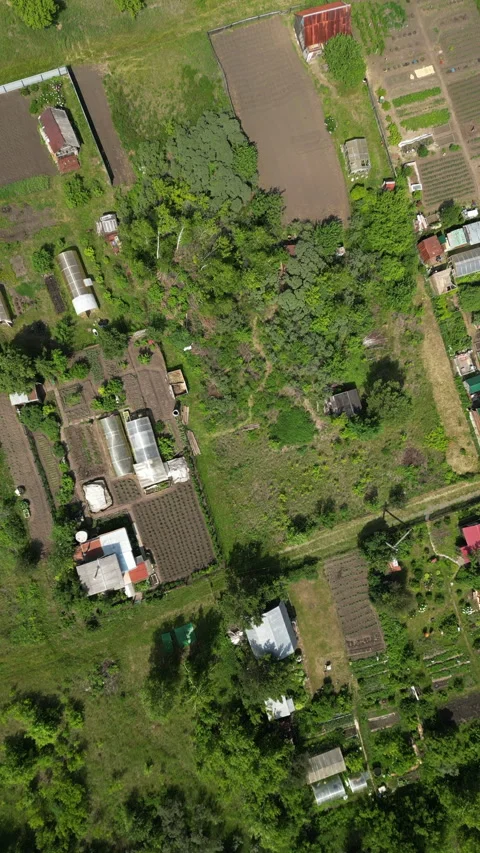 Allotment gardens evolve over time, showcasing the dedication of gardeners in Stock Footage 319168536