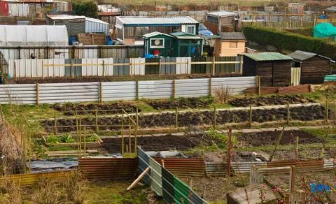 Allotment plots in rows Stock Photos