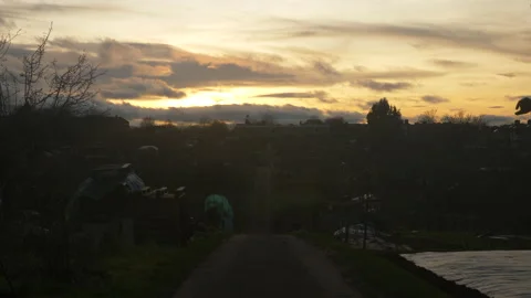 Allotment Vegetable Patch Plot Long Road Pathway at Sunset Dusk Orange Sky Cloud Vídeos de archivo 234757545
