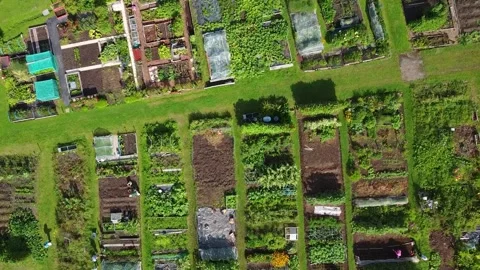 Allotments in England seen from above Stock Footage