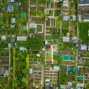 Allotments Stock Photos