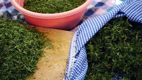 Allseed herb, which is cooked and eaten in Turkey,Edible all-seed grass gro.. 動画素材 242328659